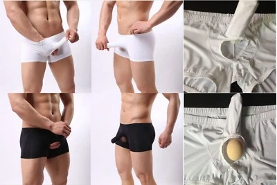 81-010 Basic Premium Boxer Pants mit Penishülle + Hodenloch Slip in S bis 2XL - Bild 1 von 4