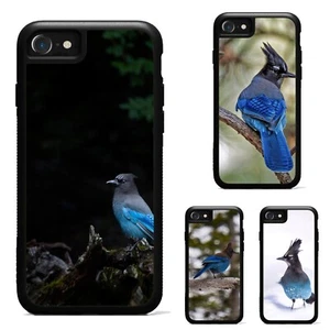 Hard Case Cyanocitta stelleri Stellers Jay For Apple iPhone SE 11 12 13 14 15 16 - Picture 1 of 25