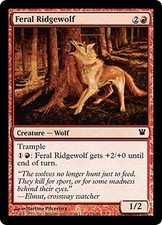 Innistrad Feral Ridgewolf x4 Magic The Gathering NM