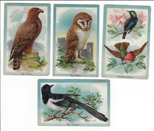 4 Tuck Educational Serie "Vögel" Postkarten p2005 - Bild 1 von 2