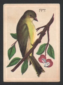 European greenfinch card From Israeli Animals Cards Set, By Tamar 1960's judica - Picture 1 of 2