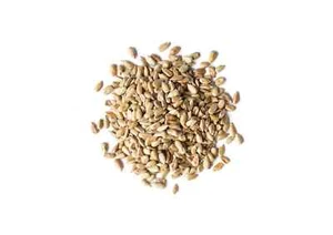 Organic Dry Roasted Sunflower Seeds with Himalayan Salt - Non-GMO, Kosher, Vegan - Picture 1 of 42