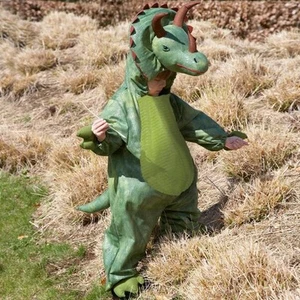 VESTIDO ELEGANTE PARA NIÑOS DINOSAURIO TRICERATOPS DISFRAZ EDADES 2-3 AÑOS / EDAD 3-5 AÑOS - Imagen 1 de 1