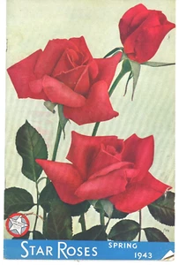 Primavera 1943 Segunda Guerra Mundial Star Roses Catálogo Insertos Formularios de pedido Folleto - Imagen 1 de 2