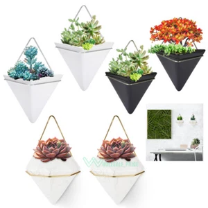 Hanging Planter Vase Wall Decor, Set of 2 Pots Containers for Succulents, Cactus - Picture 1 of 39