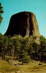 Postcard Devil's Tower National Monument, Devils Tower, Wyoming - Picture 1 of 2