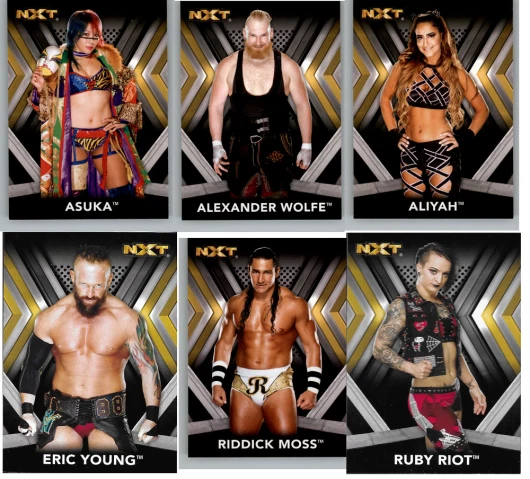 2017 Topps WWE NXT Wrestling - Base Set Cards - Choose From Card #'s 1-50 - Image 1 of 1