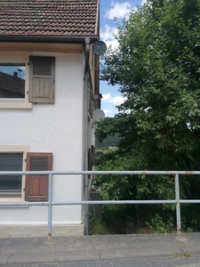 Mehrfamilienhaus in Forbach Bermersbach - Bild 1 von 2