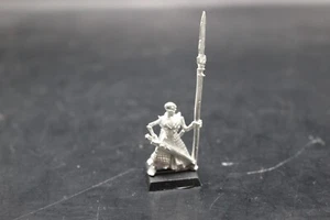 Warhammer Fantasy Dogs of War Cursed Company Standard Bearer Metal - Picture 1 of 2
