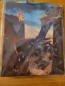 Pokemon Karten Sammlung Datei & Deck Schild Shiny Charizard Japan Japanisch NEU - Bild 1 von 3