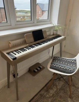 Teclado de piano digital Donner DDP-60 con pedal de pie altavoces integrados de 25 W Foto 1 de 4