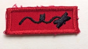 Wood Badge Knot (Completed Basic Scouter Training) - Picture 1 of 1