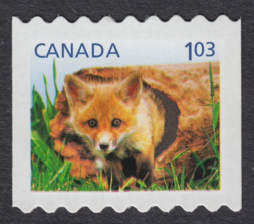 Canada 2011 #2427 = RED FOX PUPPY = hand cut Single from coil MNH - Image 1 of 1