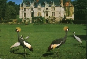 Carte Postale Ancienne souple Normandie le parc de Clères ( 76 ) - Foto 1 di 4