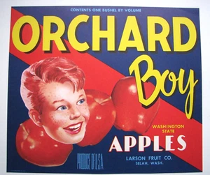 Original ORCHARD BOY apple crate label Larson Fruit Co. Selah WA red head stripe - Picture 1 of 1