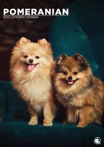 Calendario Pomerania 2025 - Imagen 1 de 3