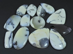 13Pcs Natural Dendrite Opal Mix Shape Cabochon Loose Gemstone Lot 275cts. V225 - Picture 1 of 9