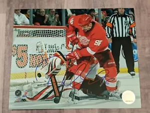 Archivo fotográfico firmado por Tomas Holmstrom 8x10 certificado de autenticidad Detroit Red Wings Team Suecia A - Imagen 1 de 1