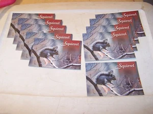 10 Unused SQUIRREL Postcards - Picture 1 of 3