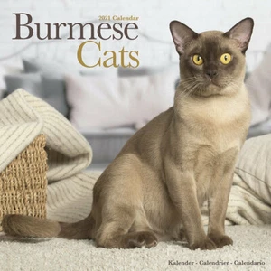 Calendrier 2021 - CHAT BIRMAN - Foto 1 di 2