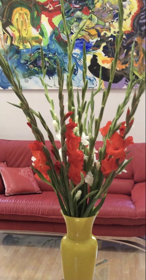 ALMOHADA DE CUERO ROJO PATRÓN LLAVE GRIEGA VERSACE FAMOSA MEDUSA DE COLECCIÓN Foto 1 de 4