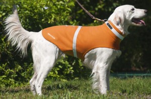 orange dog fleece