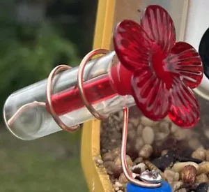 glass hummingbird feeder and copper mount that fits bird buddy - Picture 1 of 5