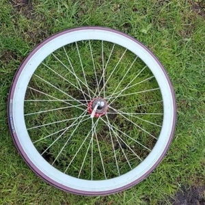 ILJOYTECH Laufrad Singlespeed 1 Fach Schraubkranz Beidseitig Möglich 5bis 9 Fach - Bild 1 von 5