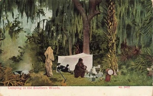 Postcard Camping In The Southern Woods Tents Forest DB 1911 - Picture 1 of 2