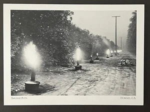 POSTKARTE UNBESENDET - KALIFORNIEN, DOWNEY - SCHMIERTÖPFE IM ZITRUSHAIN - REPRO - Bild 1 von 2