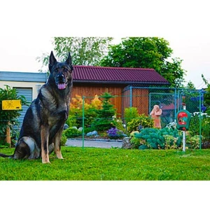 Weidezaun-Hobbyset mit Batteriegerät B40 mit Batterien Hundezaun Elektrozaun - Bild 1 von 4