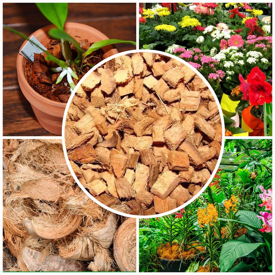 Dried Coconut Husk Orchids Anthodium Growing Medium free shipping - Image 1 of 1