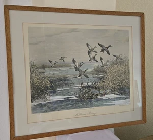 1942 Roland Clark stampa firmata "Mallards Rising" 20 x 15,5 incorniciata 250/199 - Foto 1 di 6
