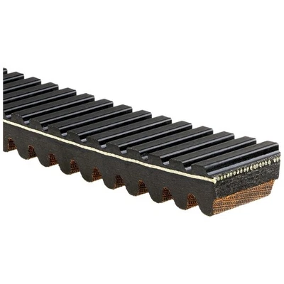 Correa de transmisión variable continua (CVT) Gates 44G4553 G-Force Foto 1 de 4