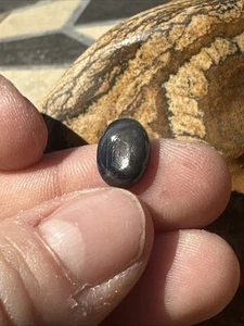 Canadian Blue Sapphire High Dome Cabochon Eye Of Odin Deposit Bluejay Mine #056 - Picture 1 of 8
