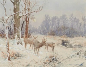 Olaf Carl Seltzer Deer In The Wintertime Canvas Print 16 x 20 - Picture 1 of 5