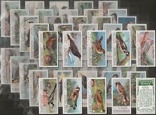 IMPERIAL TOBACCO COMPANY-FULL SET- BRITISH BIRDS 1909 (1ST SERIES 50 CARDS)
