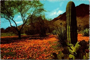 Postal de amapolas del desierto y cactus SAGUARO y nopal 4x6 - Imagen 1 de 2