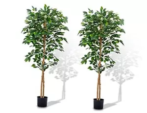 Faux Plants Artificial Ficus Trees Eucalyptus 5Ft - 2Packs Upgraded Ficus Tree - Picture 1 of 7
