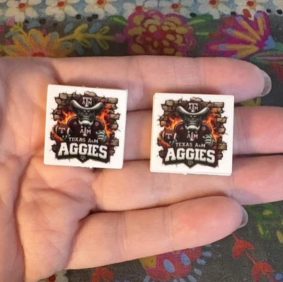 2 Piezas College University TEXAS Cuentas Focales Hágalo Usted Mismo Joyería Plumas + NUEVO Tejones Foto 1 de 3