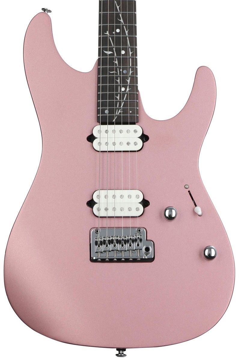 Ibanez / SA220FM NK Nude Pink ギグバッグつき - メルカリ Ibanez / SA220FM NK Nude Pink ギグバッグつき - メルカリ