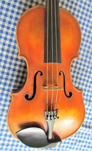 Fino 40,5 cm (16") HÚNGARO púrpura - Imagen 1 de 4
