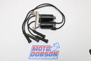 Honda CB650SC Nighthawk DW82-TRI Ignition Coils Pair - Picture 1 of 7