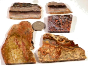 5 Agates/Jaspers including Crazy, Lace Free Ship Total 6.3 Oz. 1st Pic Wet #3581 - Picture 1 of 4