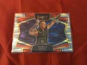 2023 SELECT SNAPSHOTS SILVER FLASH PRIZM #4 DAMIAN PRIEST RAW - Picture 1 of 2