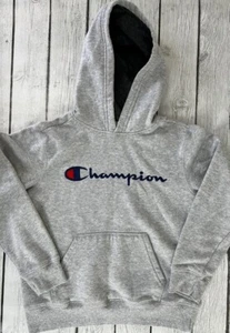 Champion Boys Gray Champion Embroidered Signature Fleece Pullover Hoodie Medium - Picture 1 of 5