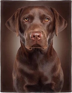 Chocolate Lab Blanket, Brown Labrador Dog Print, Soft Fluffy Fleece Thr - Picture 1 of 6