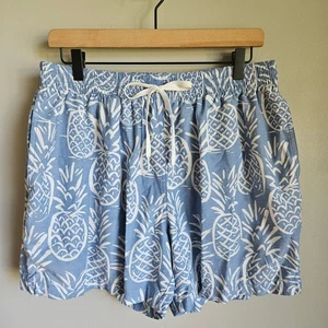 Chubbies Swim Trunks Mens XL Blue White Pineapple Print 5" Inseam Brief Liner - Picture 1 of 12