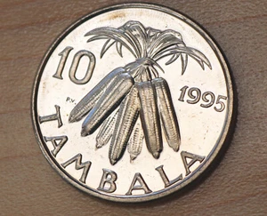 1995 Malawi 10 Tambala - Picture 1 of 2