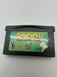 Garfield: The Search for Pooky GBA Auténtico Probado (Nintendo Game Boy Advance) - Imagen 1 de 4